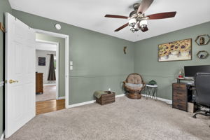  Photo 41