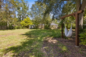 Backyard