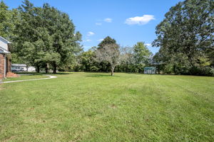  Photo 49