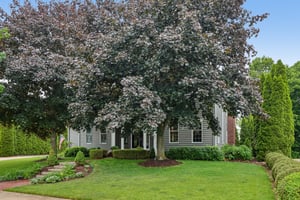 Creekside Ln-S1206-008.jpg