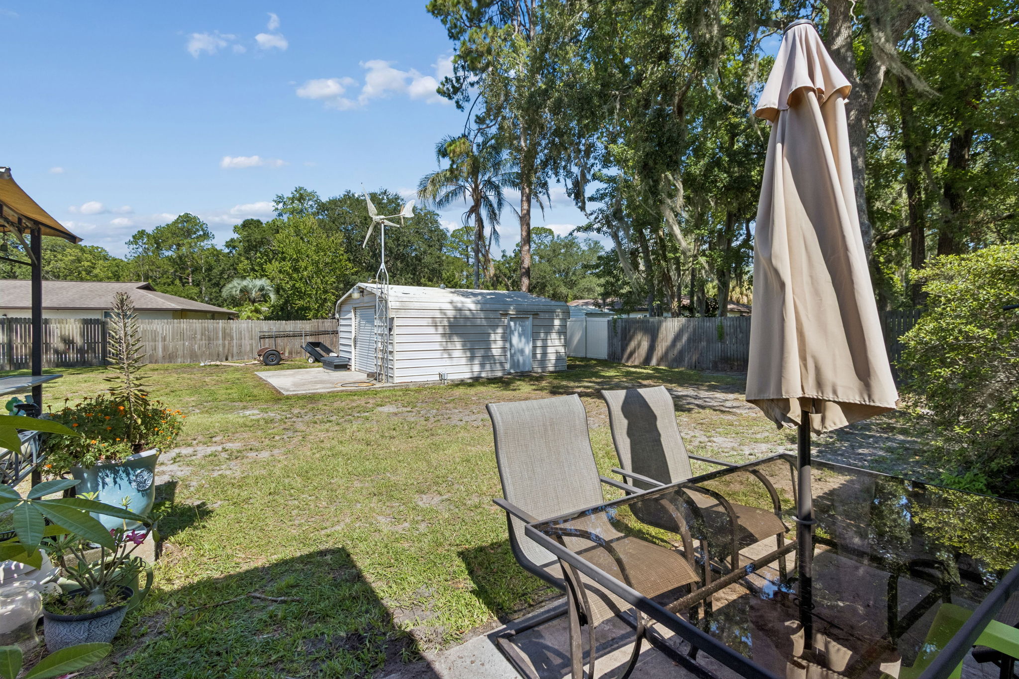 Back Yard