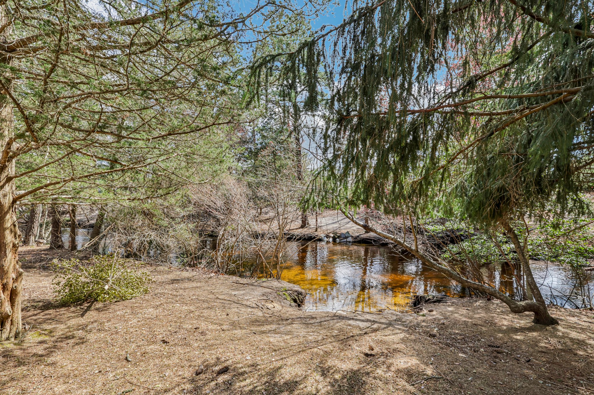 13 Barbados Dr-S0204-041.jpg