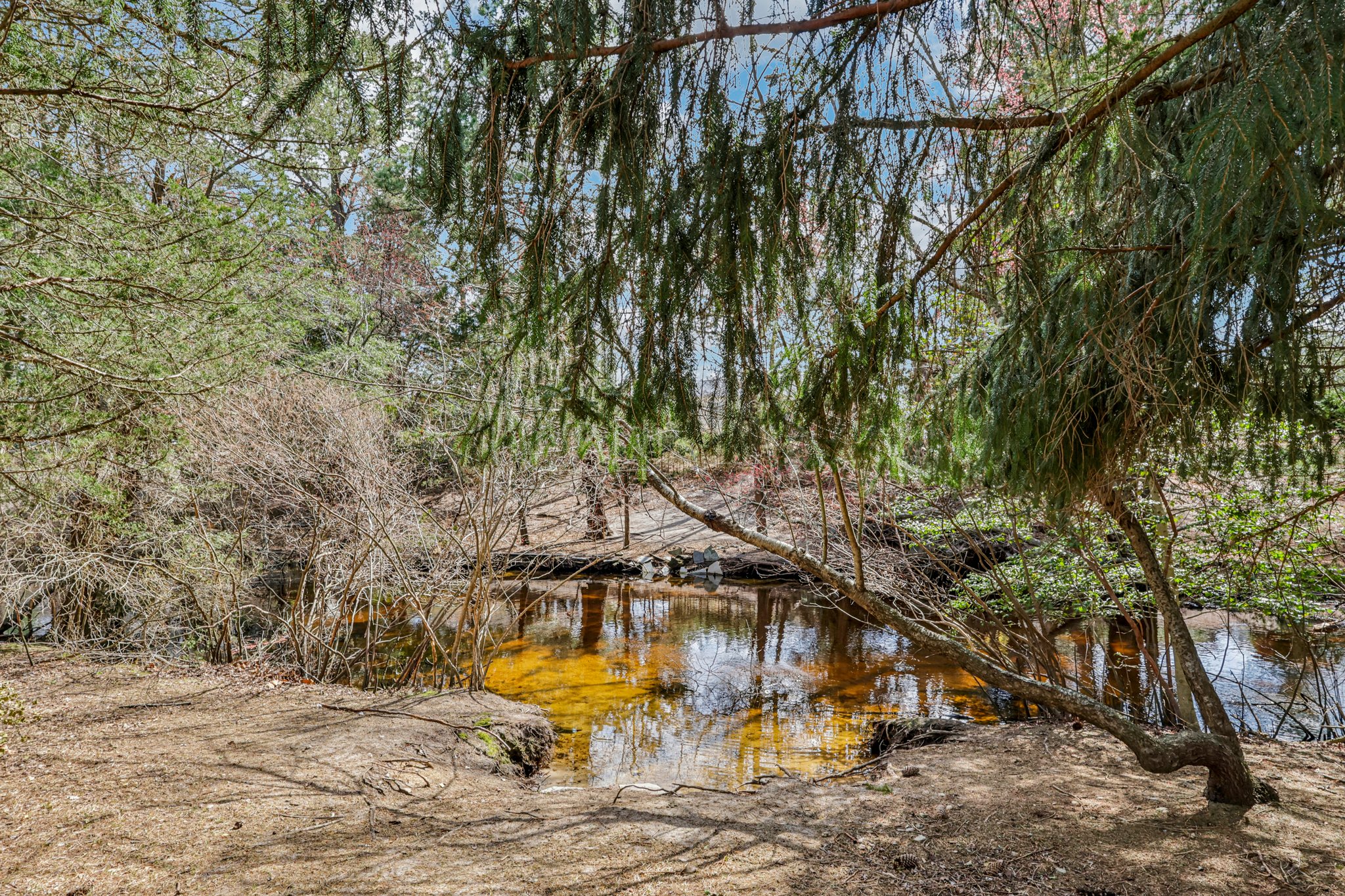 13 Barbados Dr-S0204-042.jpg