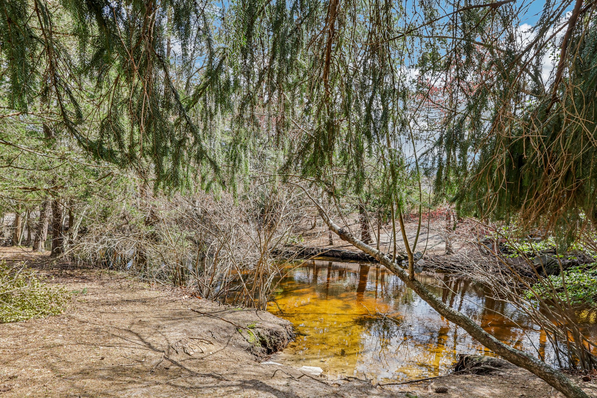 13 Barbados Dr-S0204-043.jpg