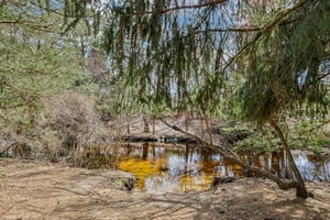 13 Barbados Dr-S0204-042.jpg