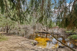 13 Barbados Dr-S0204-043.jpg