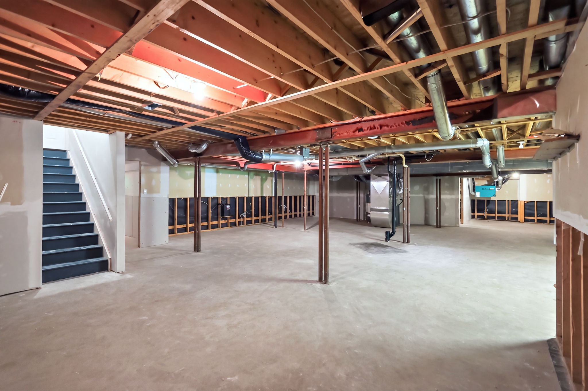  Photo 61