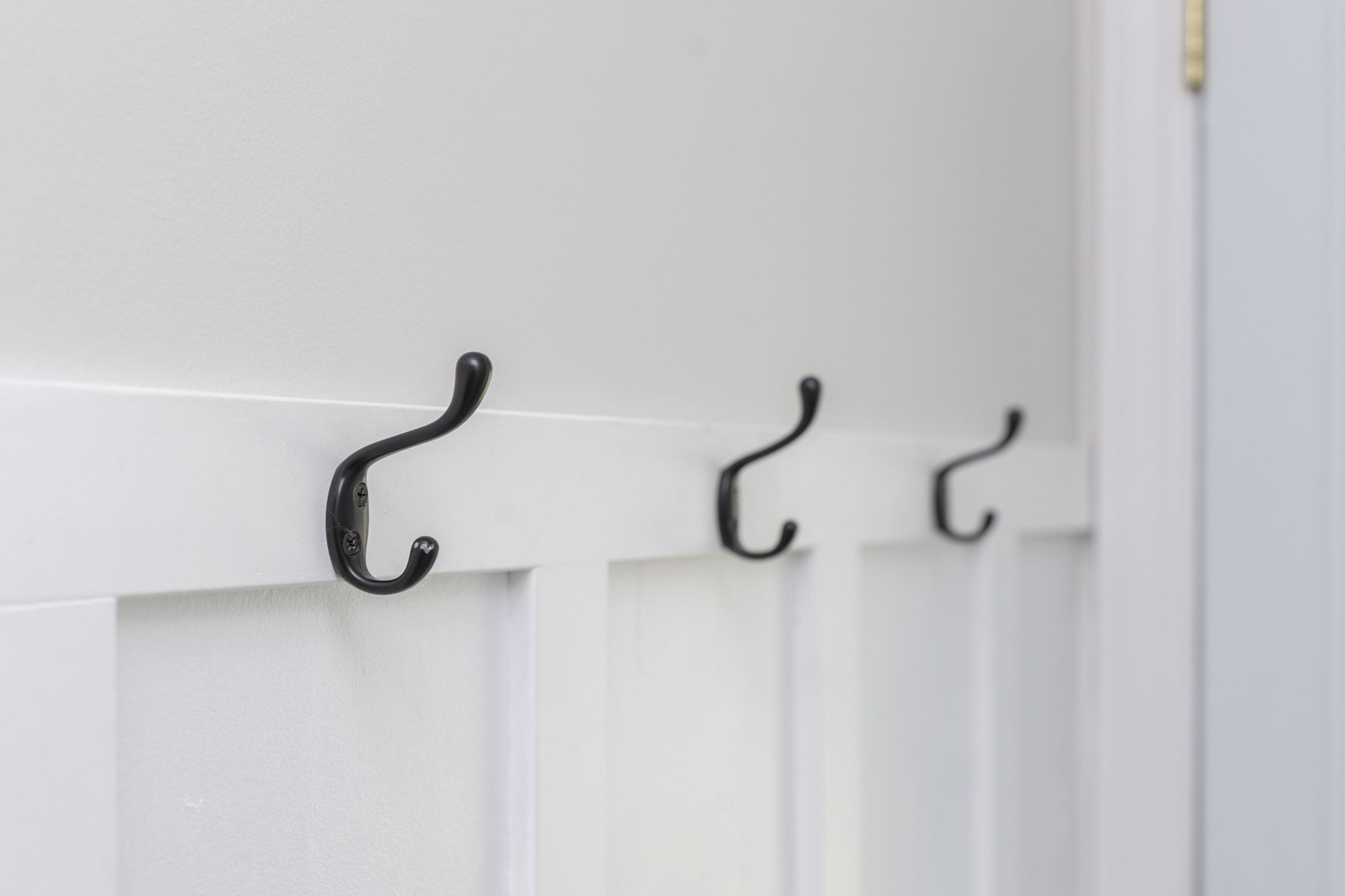 Halley_details_17