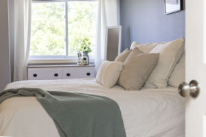 Halley_details_13