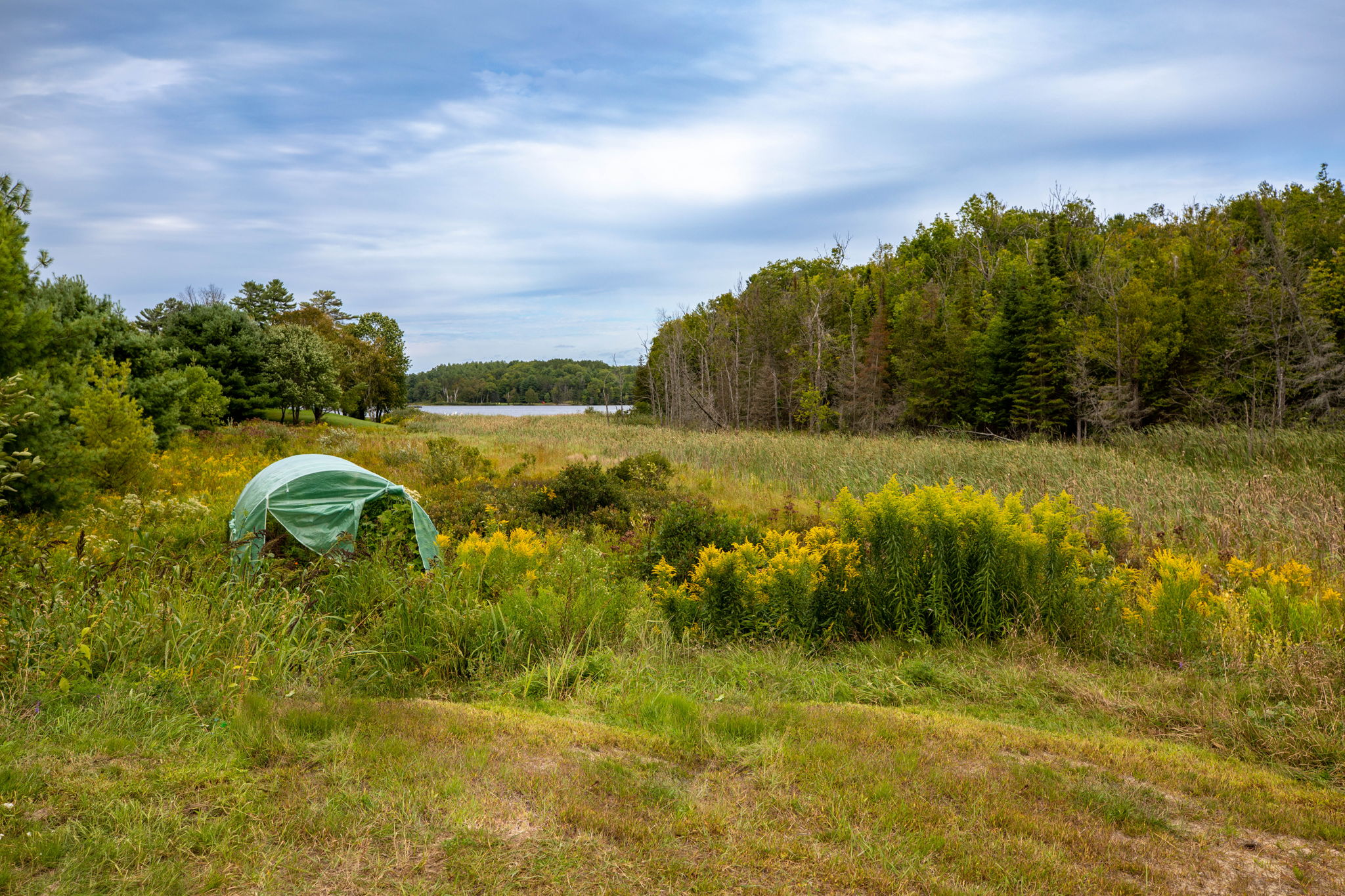  13 Meadowcrest Dr, Parry Sound, ON P2A 2W9, US Photo 66