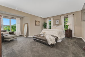 PRIMARY BEDROOM Lighting, Walk-in Closet. Wall-to-Wall Carpeting