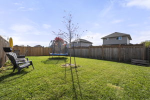  Photo 49