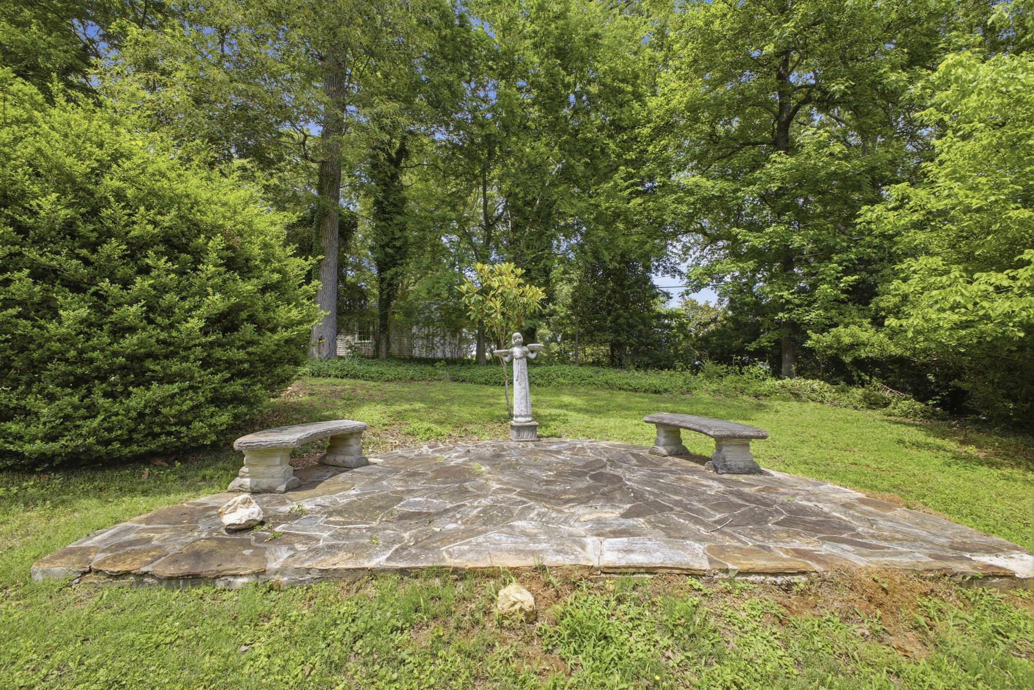  Photo 19