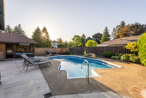 Well Maintain Pool