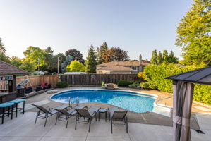 4 Pool Lounge Chairs Included