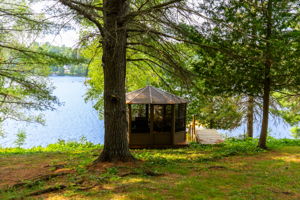  Photo 46
