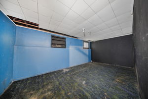  Photo 49