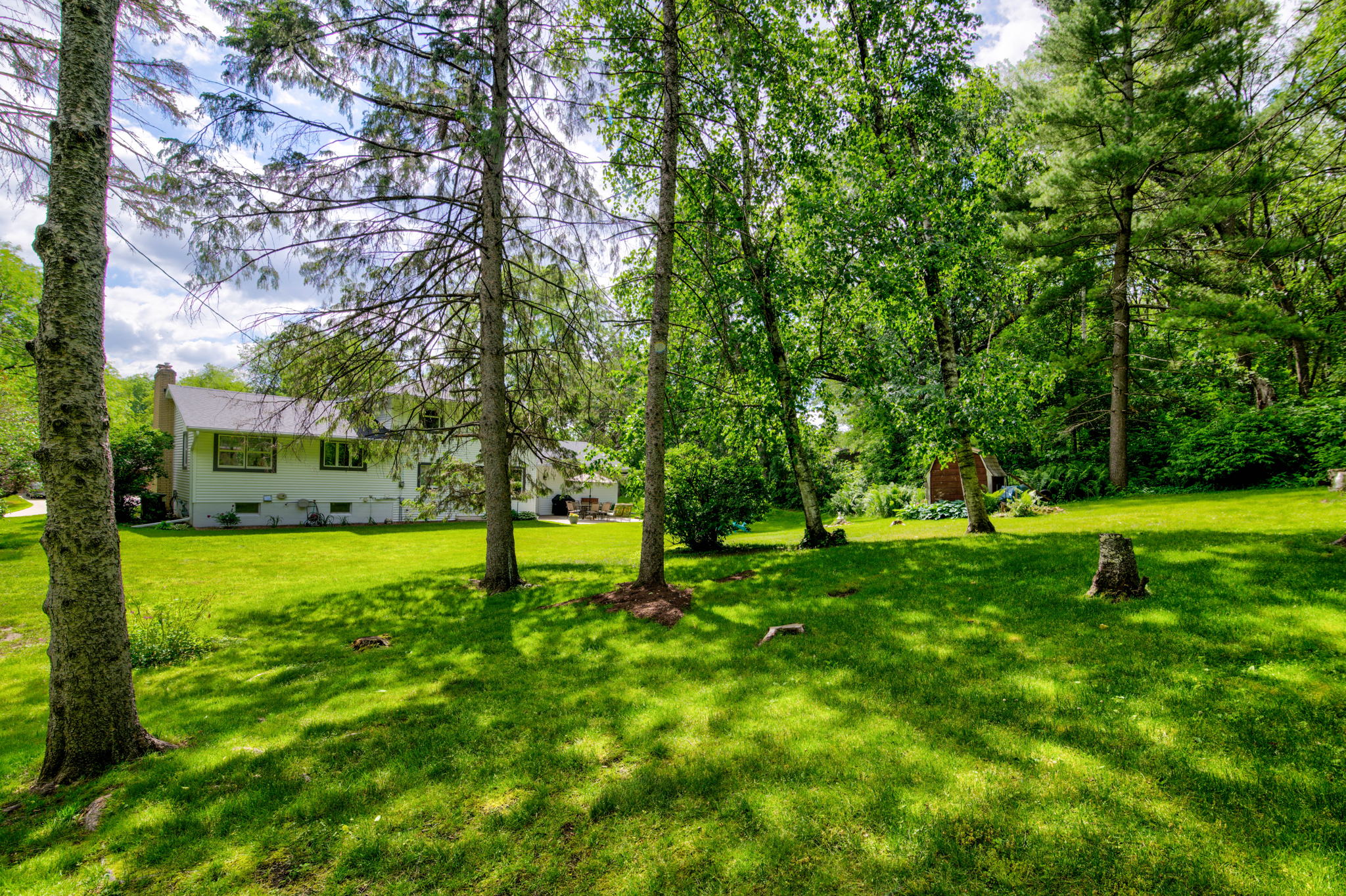 03Backyard