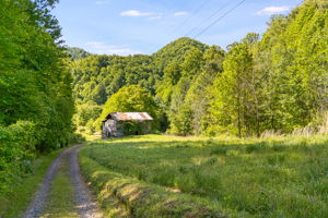  Photo 16
