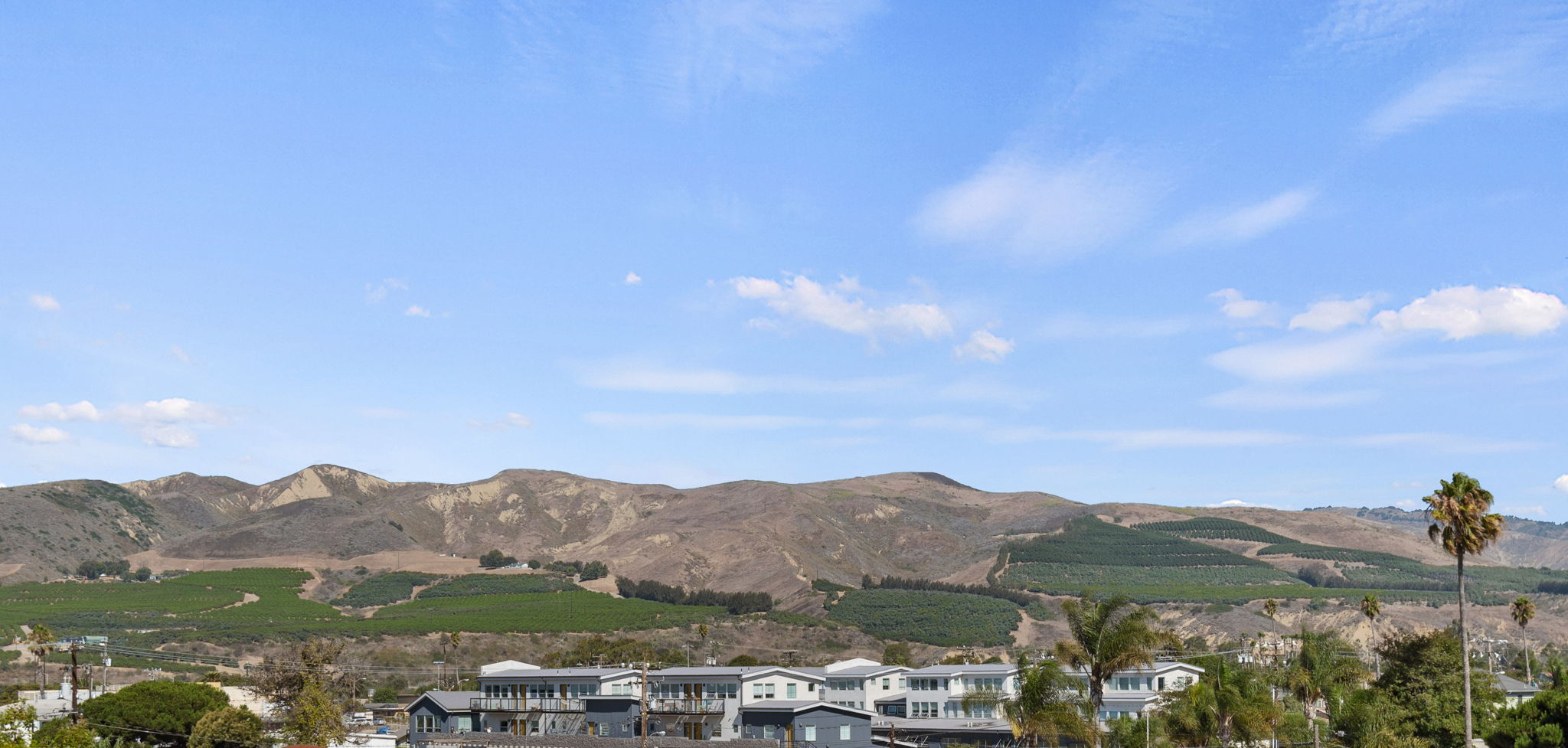 Panoramic Views