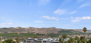 Panoramic Views