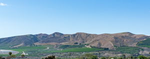 Panoramic Views
