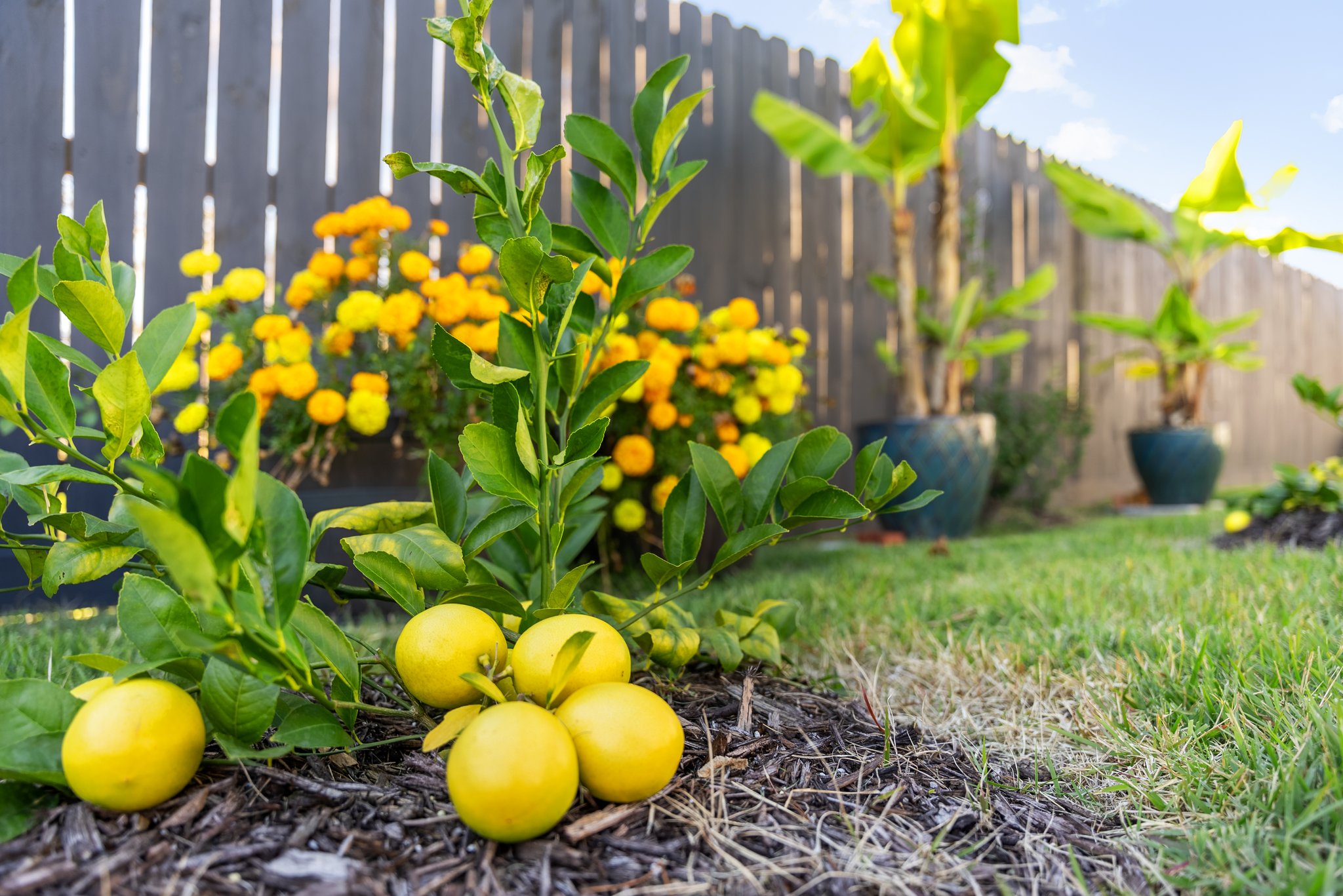 130 Lake Merial Blvd, Southport, FL 32409, USA Photo 5