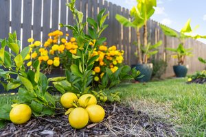 130 Lake Merial Blvd, Southport, FL 32409, USA Photo 4