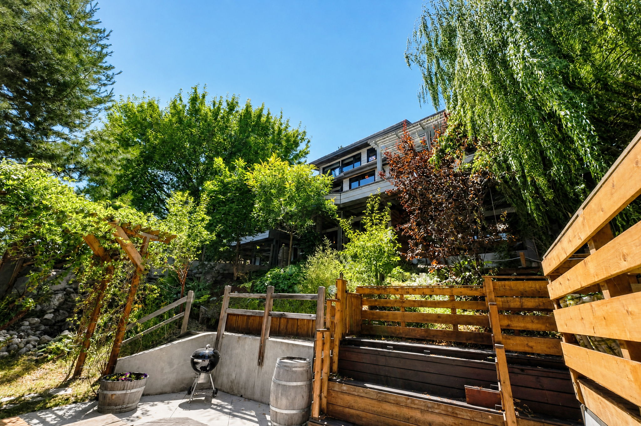 Photo 65