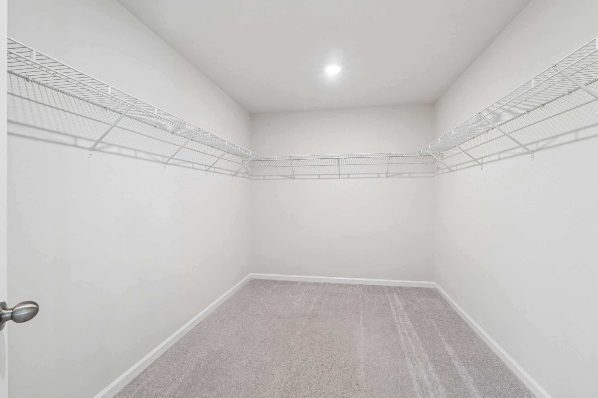 Rooster Tail Ln-S2108-037.jpg