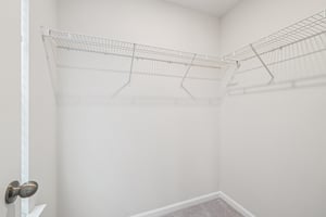 Rooster Tail Ln-S2108-041.jpg