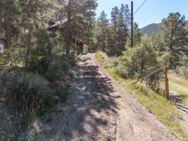 Photo 49
