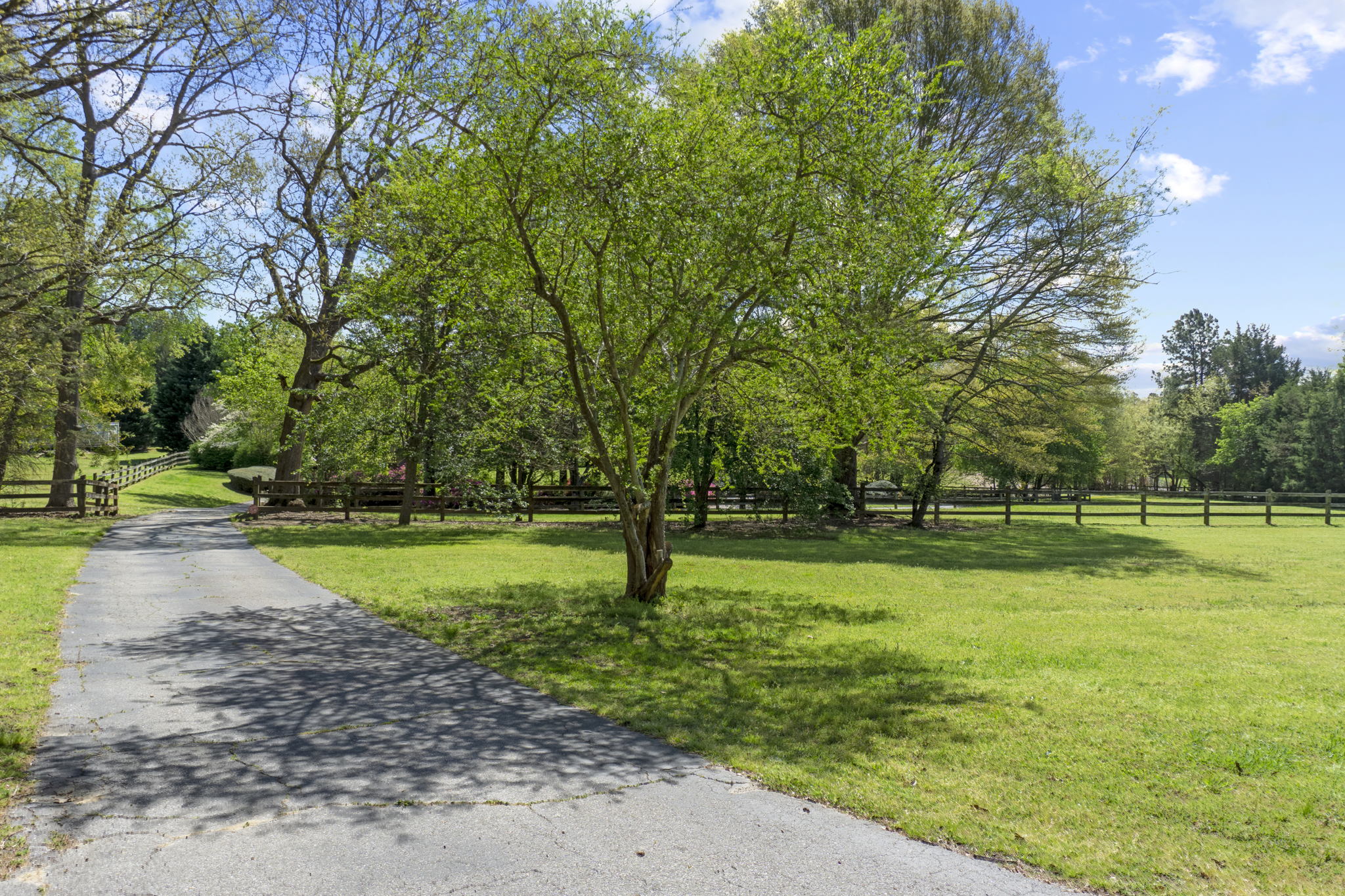 130 Spring Forest Dr, Simpsonville, SC 29681, USA Photo 35