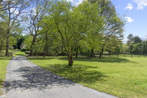 130 Spring Forest Dr, Simpsonville, SC 29681, USA Photo 34
