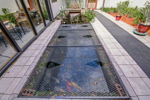 Koi Pond