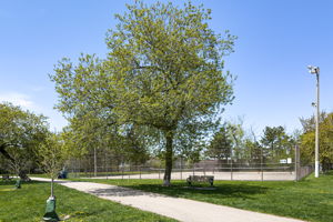  Photo 39