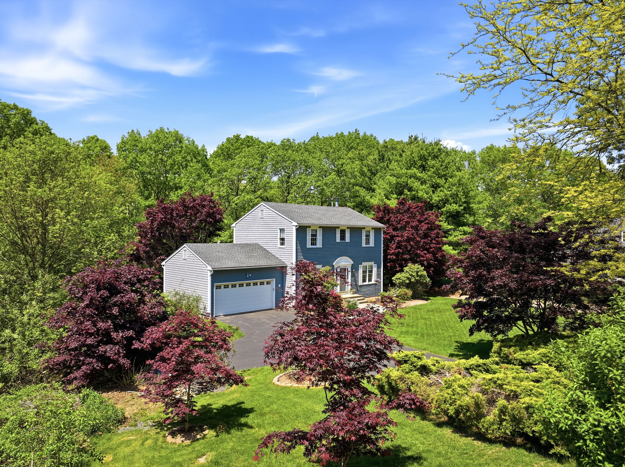  Photo 59