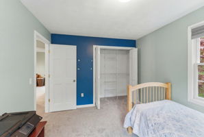  Photo 49