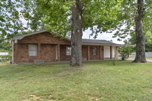  Photo 0