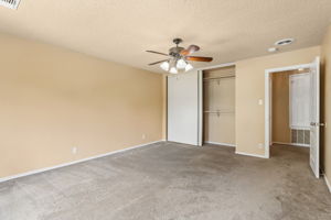  Photo 49