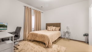 Lower level bedroom