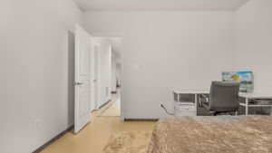 Lower level bedroom