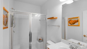 Lower level full bath