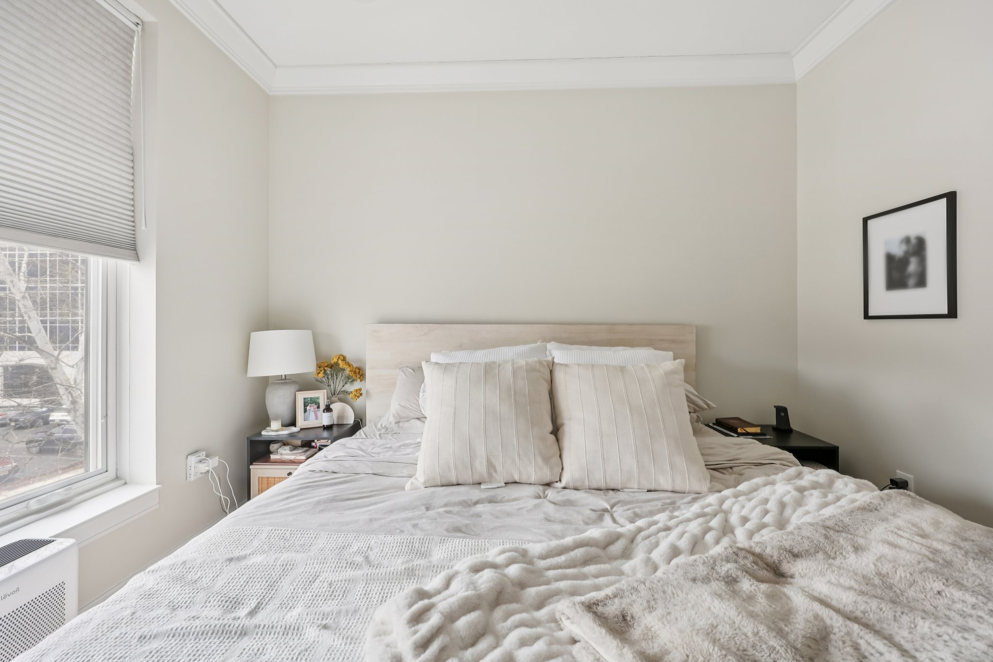 Adams St-S0703-023.jpg