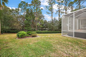 Side Yard