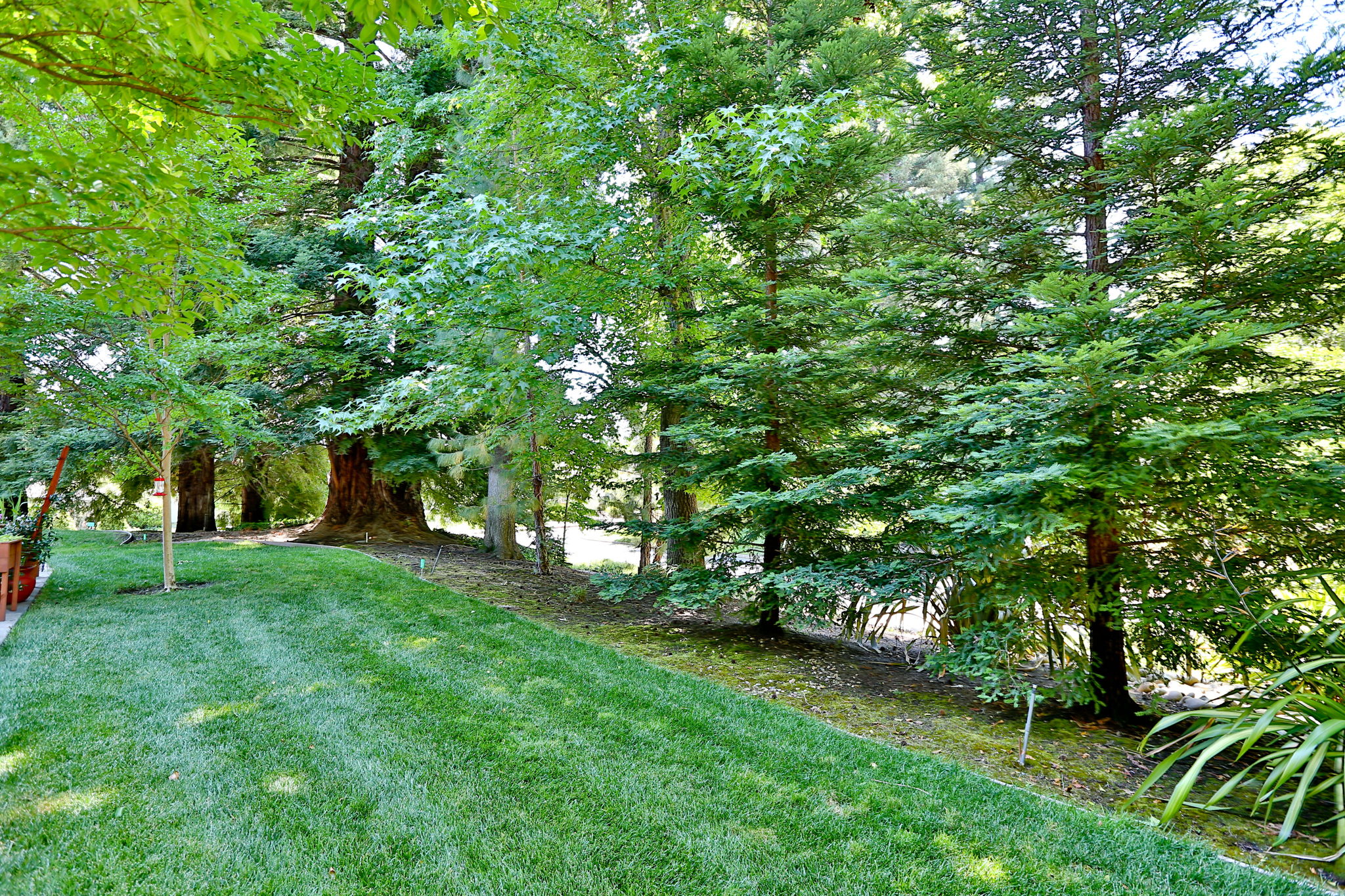  1301 Skycrest Dr 4, Walnut Creek, CA 94595, US Photo 18