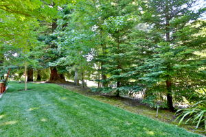 1301 Skycrest Dr 4, Walnut Creek, CA 94595, US Photo 17