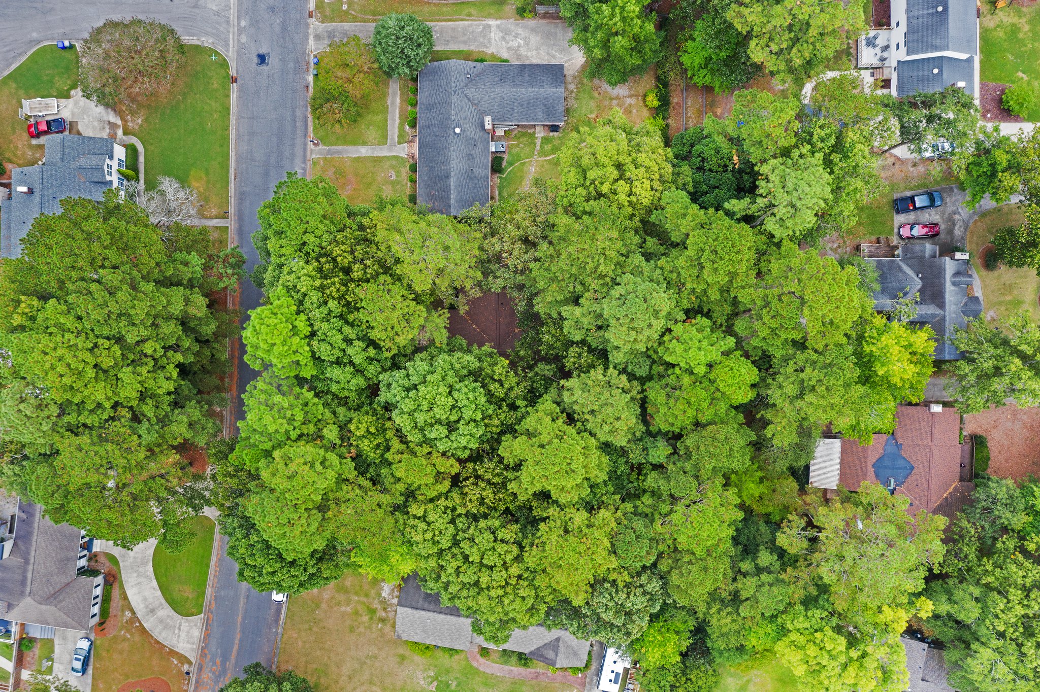 1302 Sonata St, Greenville, NC 27858, USA Photo 10