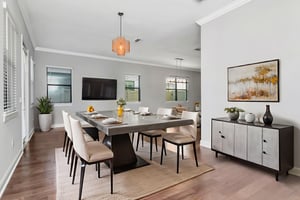 29 - living virtually staged.jpeg