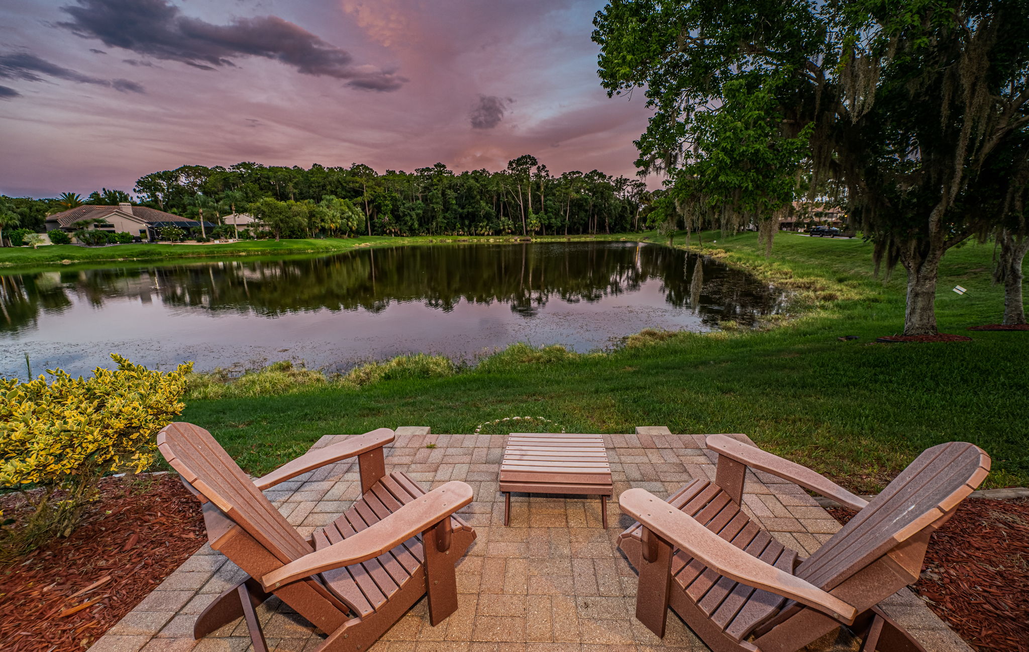 Backyard15